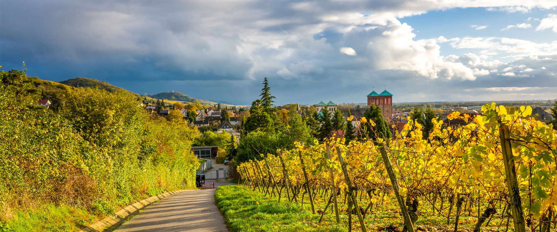 NIEGEL'S liegt an der Hessischen Bergstraße